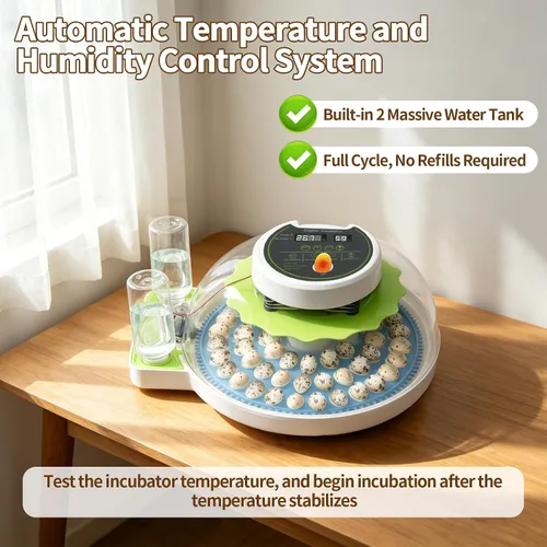 Miniatura 2 de Incubadora de huevos de codorniz para incubar 60 huevos de codorniz con giro automático de huevos y control de humedad, codornices pequeñas