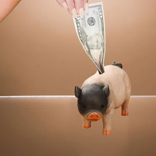 Miniatura 8 de Primst Alcancía de cerdo lindo, banco de dinero de resina, lindo cerdo caja de dinero, caja de monedas, caja de monedas para adultos, caja de dinero