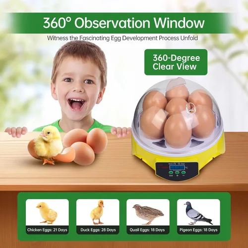 Miniatura 3 de Mini incubadora de huevos de 7 huevos con vista de 360°, kit educativo para eclosionar para niños, aulas y familias, control automático