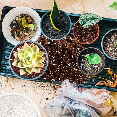 Miniatura 6 de Perlita de 9 cuartos para suelo vegetal: enmienda para tierra de macetas, mejora el drenaje y la aireación del suelo, mejor para el crecimiento