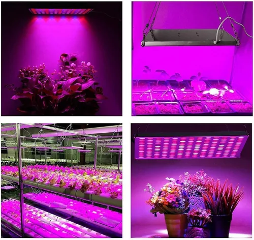Miniatura 7 de Luz LED de crecimiento, luz de crecimiento para plantas de interior, luz de espectro completo para plantas de semillero, hidropónico, invernadero