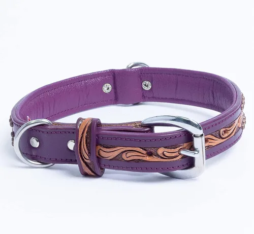 Miniatura 3 de Angel Pet Supplies - Collar de cuero genuino para perro San Antonio, perfecto para perros medianos, grandes y XL, hebilla de acero inoxidable, cuero