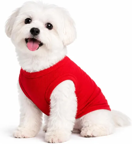 Miniatura 53 de Lovelonglong Ropa para mascotas de verano 2019, ropa para perro, camisetas en blanco, camisetas acanaladas, chalecos de hilo superior para perros