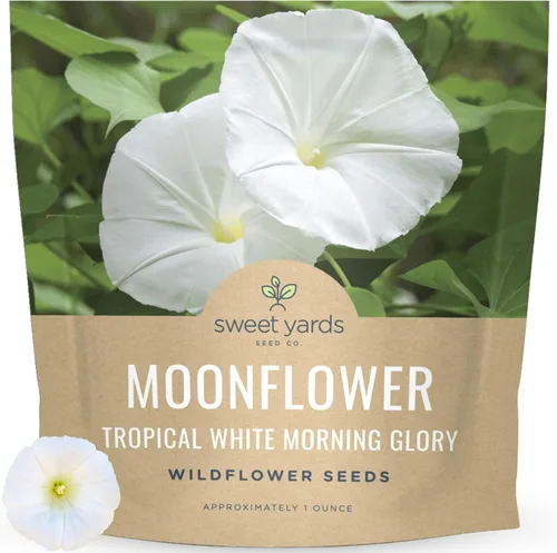 Moonflower - Tropical White Morning Glory - Paquete grande de 1 onza - 100 semillas de flores para plantar - Ipomoea alba