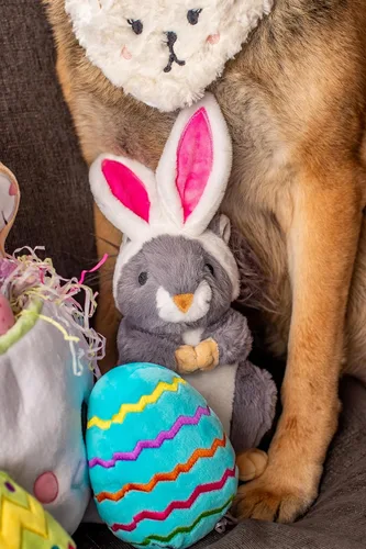 Miniatura 7 de Midlee Juguete de peluche para perro de huevo de Pascua, azul (grande)