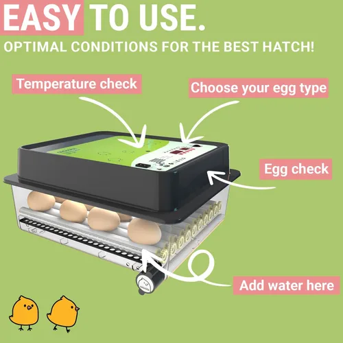 Miniatura 2 de Incubadora OBI-36 para incubar huevos, 36 huevos, fácil de usar, control estable de temperatura y humedad con aislamiento Eggloo, color verde