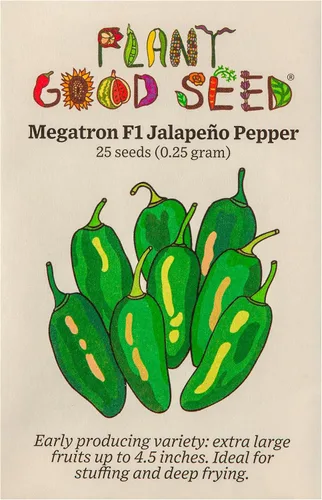 Miniatura 9 de Plant Good Seed Semillas de pimienta Aji Amarillo orgánicas para plantar: chile tradicional peruano, frutos amarillos anaranjados - Paquete de 30