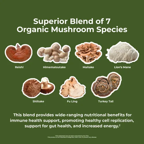 Miniatura 3 de Nature's Lab Seta 7 – Contiene 7 hongos orgánicos incluyendo melena de león, reishi y cola de pavo – 90 cápsulas (suministro de 1.5 meses)