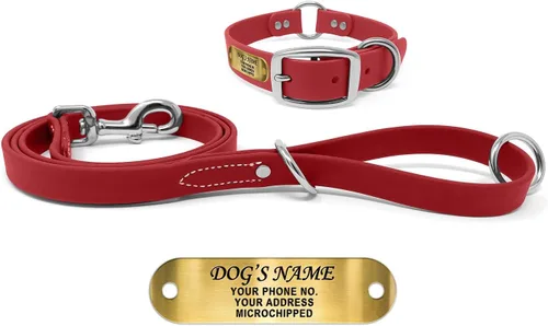 Miniatura 16 de Regal Dog Products Collar de Perro Naranja Mediano con Placa de Nombre Grabada Personalizada - Ajuste Personalizado, Resistente, Fácil de Limpiar