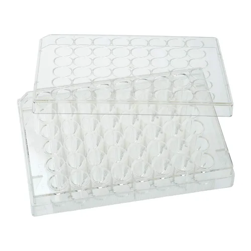 Miniatura 3 de CELLTREAT PRODUCTOS CIENTÍFICOS 229105 Placa de cultivo tratada de 6 pocillos con tapa; 50/Cs