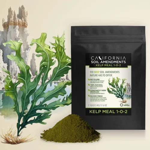 The Bud Grower | California Hot Soil Premium Kelp Meal | 6 libras de polvo fino 100% harina orgánica de algas | Kit y suministros de tienda de