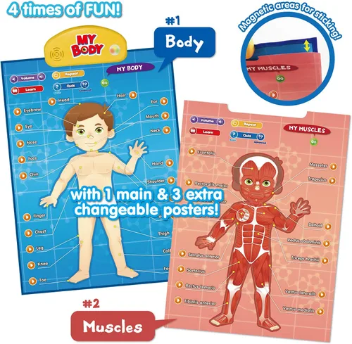 Miniatura 5 de BEST LEARNING i-Poster My Body - Juguete educativo interactivo para hablar de anatomía humana Aprende partes del cuerpo, órganos, músculos