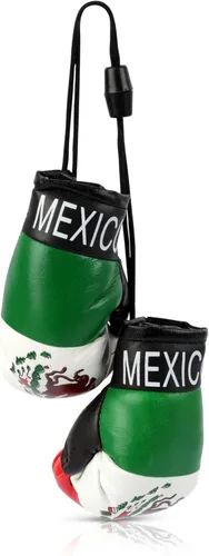 SandT Collection Guantes de boxeo pequeños con bandera del país - Guantes de boxeo para colgar México