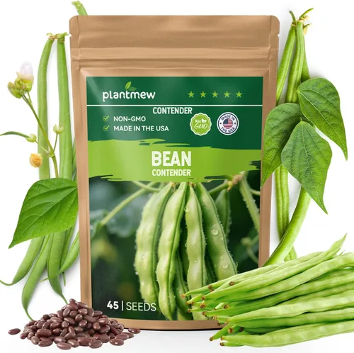 Miniatura 9 de Semillas de Calabacín para Plantar - 45 Semillas de Calabaza de Verano Black Beauty - Sin OGM, Paquete de Semillas de Vegetales Reliquia para Jardín