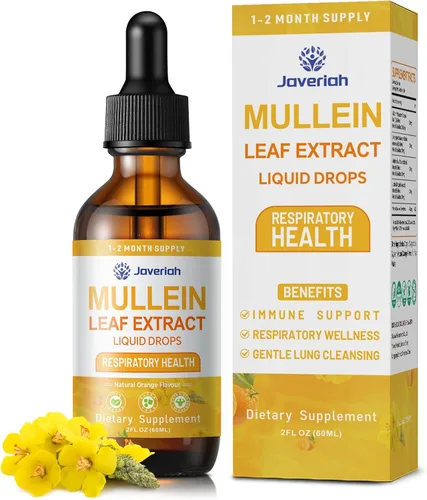 Gotas de gordolobo para limpieza de pulmones - Cordyceps, raíz de malvavisco y extracto de raíz de regaliz, suplemento herbal respiratorio con