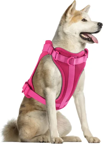 Miniatura 9 de Arnés ligero para perro sin tirones: arnés ajustable y duradero de malla transpirable con cojín suave y cómodo, para perros pequeños, medianos y Lila