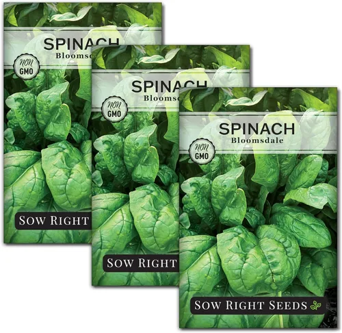 Miniatura 8 de Sow Right Seeds - Semillas de espinaca Bloomsdale para plantar - Paquete de reliquia sin OMG con instrucciones para plantar y cultivar un huerto