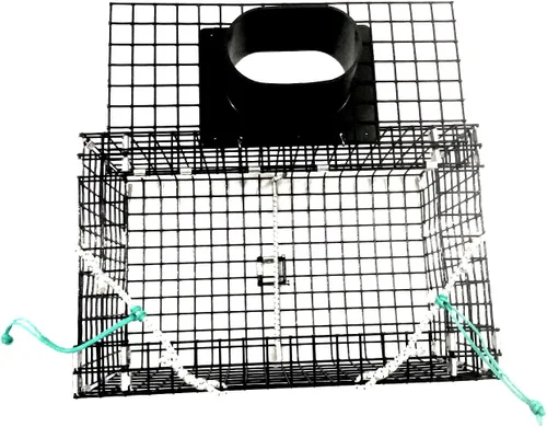 Miniatura 3 de Ketcham Supply Trampa de cangrejo verde pequeña de malla de alambre recubierto de PVC