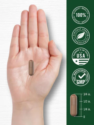 Miniatura 7 de Carlyle Pycnogenol 100mg 30 cápsulas Extracto de corteza de pino marítimo francés Pinus Pinaster Suplemento sin OMG y sin gluten