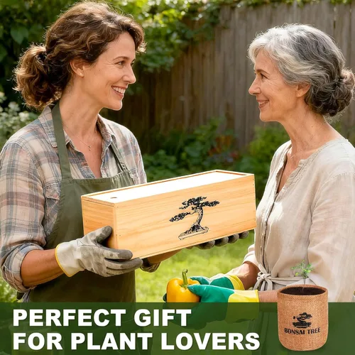 Miniatura 6 de Paquete de 5 Kits de Árbol Bonsái - 5 Semillas Kit Vivo de Planta de Árbol Bonsái en Crecimiento para Principiantes, Fácil de Cultivar Kits