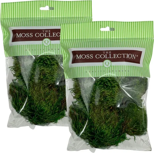 Miniatura 16 de Musgo de hoja preservado - Musgo decorativo natural - Musgo seco para manualidades, decoración del hogar, proyectos de arte, diseño y bricolaje - No