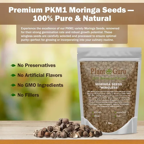 Miniatura 3 de Semillas de Moringa sin alas 1 lb. JAR de boca ancha - PKM1 Variedad - Comestible para picar - Plantación - Moringa Oleifera - Malunggay - Semillas