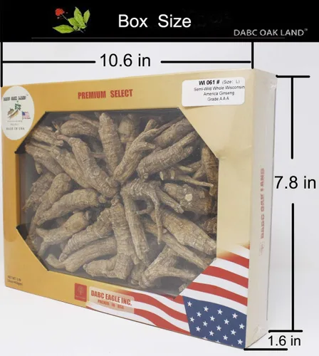 DOL Raíz de ginseng cultivada a mano de Wisconsin americano, mediana y grande, ginseng americano cultivado de Wisconsin (grande, 16 onzas en caja)