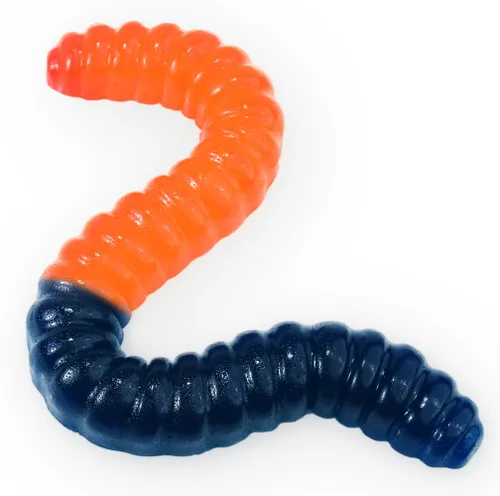 Gusano de gomita gigante – Caramelo de gomita grande de 2 libras con gran sabor afrutado de GGB Candies (azul frambuesa/naranja)