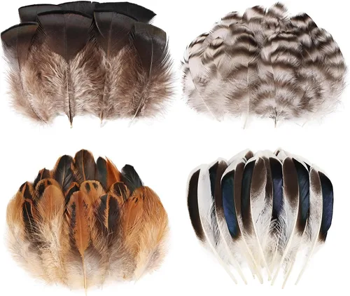 Miniatura 7 de MAOFENG 20 plumas naturales de faisán, 5 estilos de 5 a 9 pulgadas, 5.1-9.1 in para manualidades, boda, hogar, fiesta, sombrero, arreglos florales