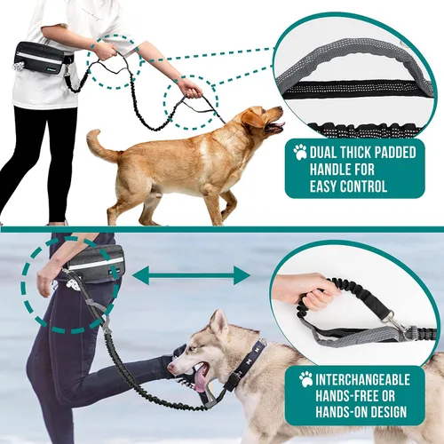 Miniatura 6 de PetAmi - Correa de perro manos libres para correr y caminar, con cinturón con cremallera y dispensador de bolsas para excrementos, asas acolchadas