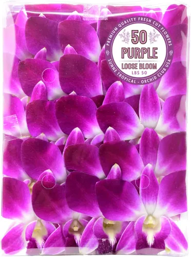 Miami Fresh Orchid Flower OrchidClub USA Sunne Tropical Loose Bloom DIY Lei, decoración de alimentos y bebidas (50 morado)