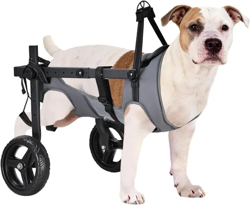 Silla de ruedas para perros para patas traseras, altura/longitud/ancho ajustable, silla de ruedas resistente con ruedas que absorben los golpes, Gris