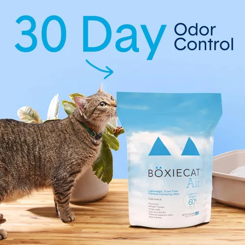 Miniatura 2 de Boxie® - Arena para gatos sin perfume para control de olores natural de 30 días, 6.5 libras, arena ligera a base de plantas para gatos