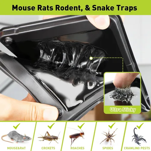 Miniatura 8 de Pelrayt Trampas de pegamento para ratones de interior para el hogar, trampa para ratas, paquete de 12, trampas de pegamento grandes y resistentes