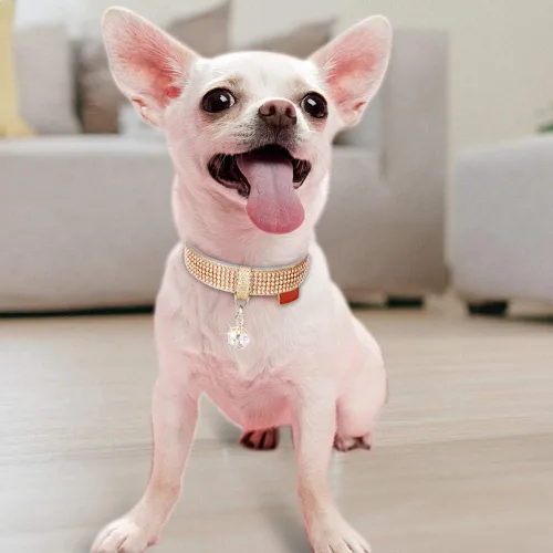 Miniatura 4 de Collar para gatos y perros, [brillos de imitación de diamante] Cuero sintético prémium con dije, collares ajustables para gatos grandes y perros