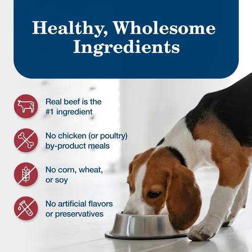Miniatura 6 de Blue Buffalo Homestyle - Comida húmeda para perro, receta casera, alimento para perro adulto, vacuno, lata de 12.5 onzas (Paquete de 12.5)