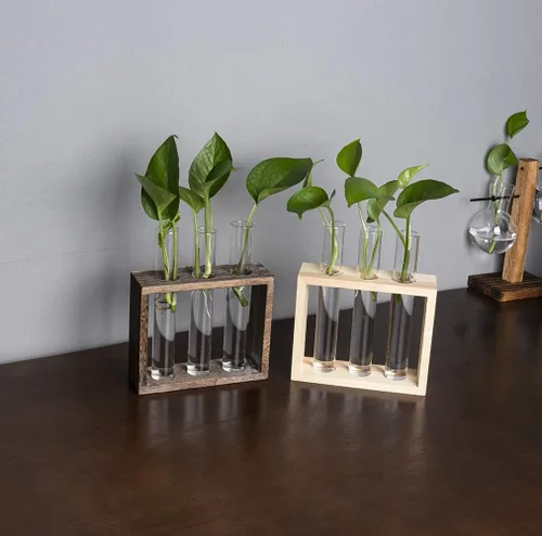 Miniatura 2 de Estación de propagación de madera con 3 tubos de ensayo de vidrio, soporte de terrario de vidrio de mesa para esquejes hidroponía, decoración