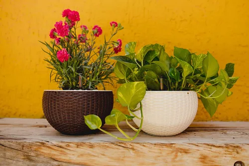 Miniatura 8 de GARDENIX DECOR Maceta colgante de riego automático, 11 pulgadas para interiores, marrón, fibra de coco con indicador de nivel de agua, redonda, 1
