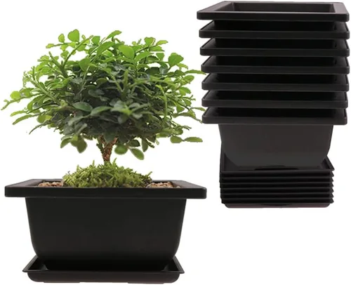 Miniatura 9 de MUZHI Paquete de 6 macetas cuadradas de estilo retro para jardín, macetas bonsái para cuarto de bebé, maceta cuadrada con bandeja