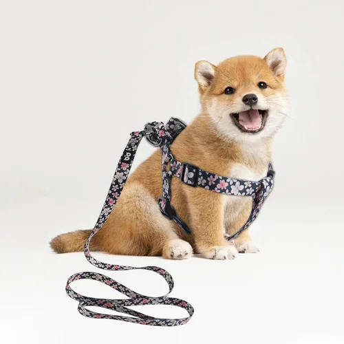 Miniatura 5 de QQPETS Juego de correa de arnés para perro, ajustable, resistente, sin tirones, arnés halter para perros de razas pequeñas, medianas y grandes, clip