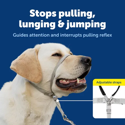 Miniatura 3 de Collar suave de conducción con DVD de entrenamiento PetSafe, Púrpura profundo Violeta intenso