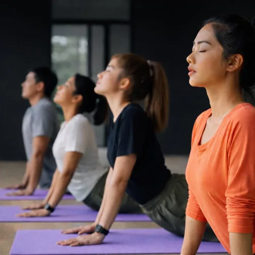 Miniatura 8 de WHITECLOUDZ Kit de yoga, juego de 7 piezas de esterilla de yoga para entrenamientos en casa, esterilla de yoga gruesa, bloques de yoga, correa