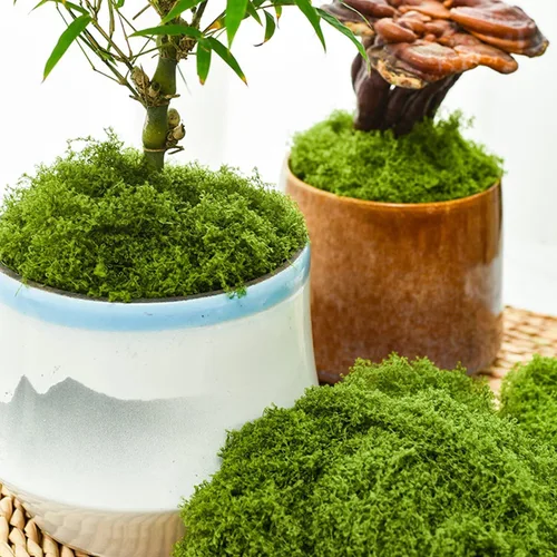 Miniatura 5 de KEYUSHOP Musgo verde falso para plantas en maceta, 5.3 onzas, musgo de reno preservado, musgo artificial decorativo para bricolaje, centros de mesa