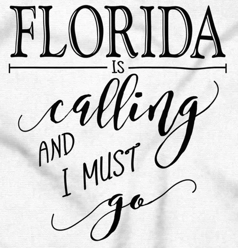 Miniatura 2 de Brisco Brands Sudadera con capucha Florida is Calling and I Must Go para mujer y hombre
