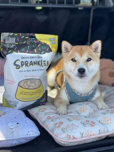 Miniatura 7 de Alimento liofilizado para perros de razas pequeñas y grandes, 6 onzas de carne de res para perros quisquillosos, fabricado en Estados Unidos, sin