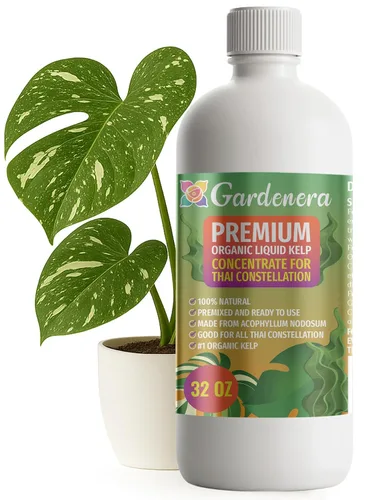 Miniatura 13 de GARDENERA Superalimento orgánico prémium de algas marinas y algas marinas para plantas AGLAONEMA, 8 onzas, concentrado de fertilizante líquido