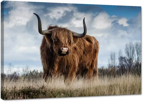 Miniatura 33 de Póster moderno de pared de vaca de las tierras altas, póster impreso en lienzo alpino desierto, decoración de pared de animales para sala de estar