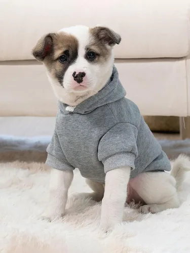 Miniatura 7 de QWINEE Sudadera básica con capucha para perro, suéter cálido para gatos, ropa para mascotas para Chihuahua, cachorro, gatito, perros pequeños y Gris