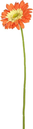 Miniatura 5 de Vickerman Tallo de margarita de gerbera amarilla artificial de 21 pulgadas, 6 por bolsa Amarillo