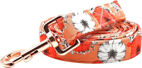 Miniatura 12 de Correa para perro, duradera y resistente con estampado de tiburón, correa resistente, cómoda correa acolchada para perros pequeños, medianos